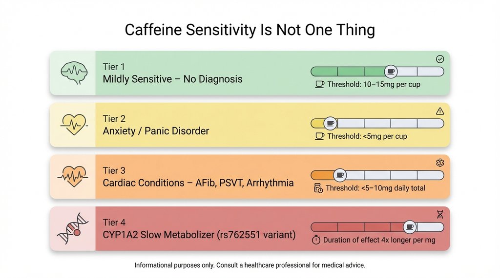 Infographic showing four types of caffeine sensitivity with tolerance thresholds