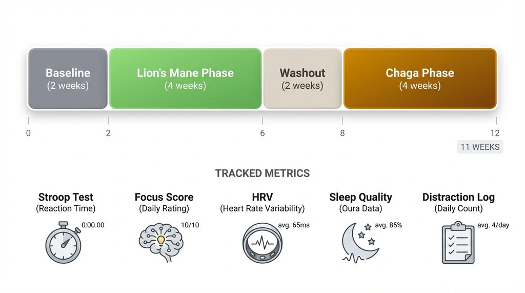 11-week trial timeline infographic