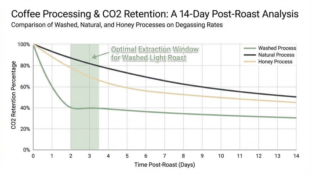 Infographic comparing CO2 degassing curves for washed, natural, and honey process coffees